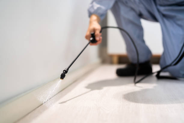 Licensed Fumigation Services service in Newellton, LA - Nex Pest Control