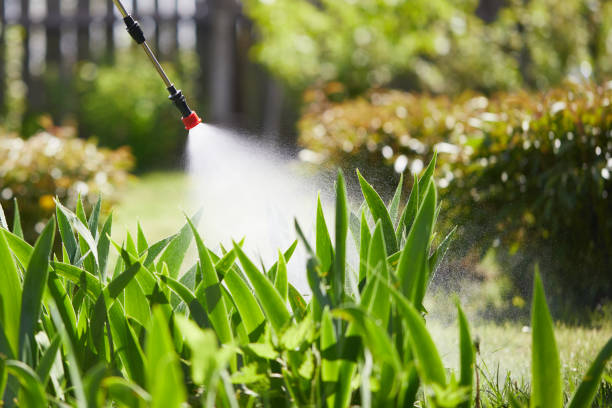 24/7 Emergency Fumigation Services experts in Newellton, LA