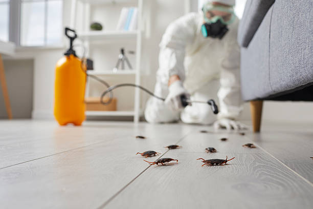 Trusted Cockroach Control service in Newellton, LA - Nex Pest Control